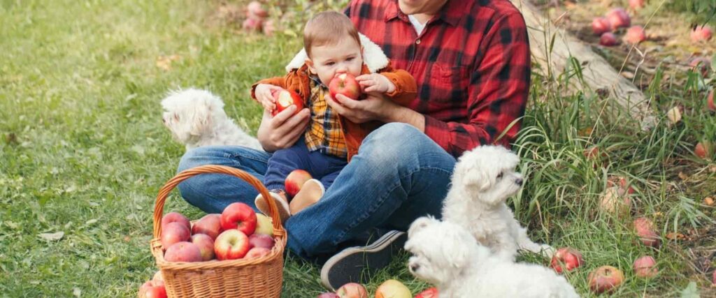 Padre dando de comer con cuidado a su hijo. Da amor recibe amor. Siembra y cosecha. Ley del Karma